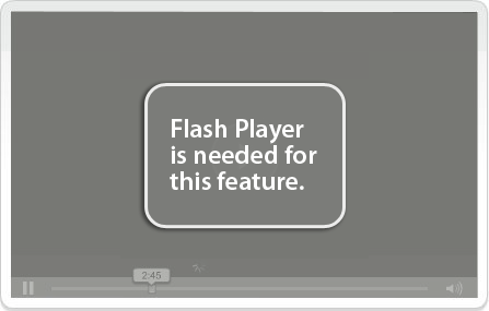 you must have flash palyer 