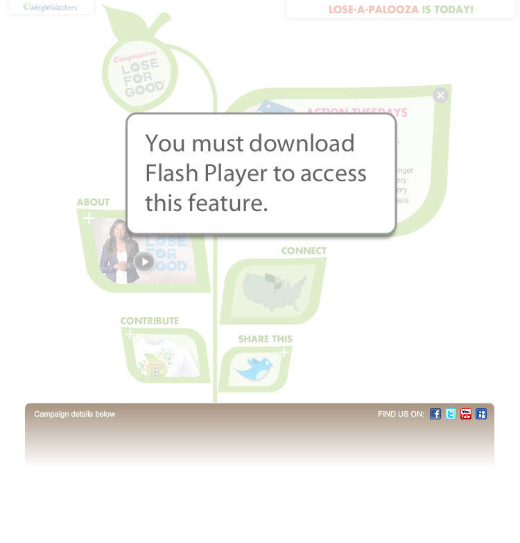 you must download flash player to access this feature 