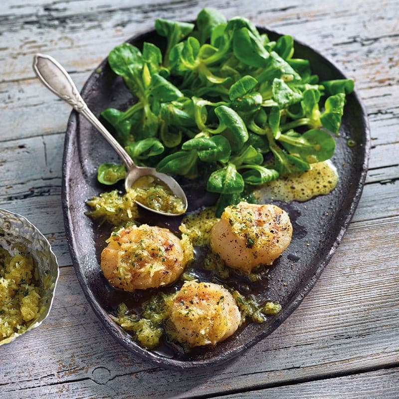 Trüffel-Jakobsmuscheln mit Parmesan