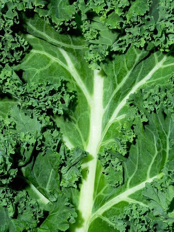 The truth about menopause weight gain